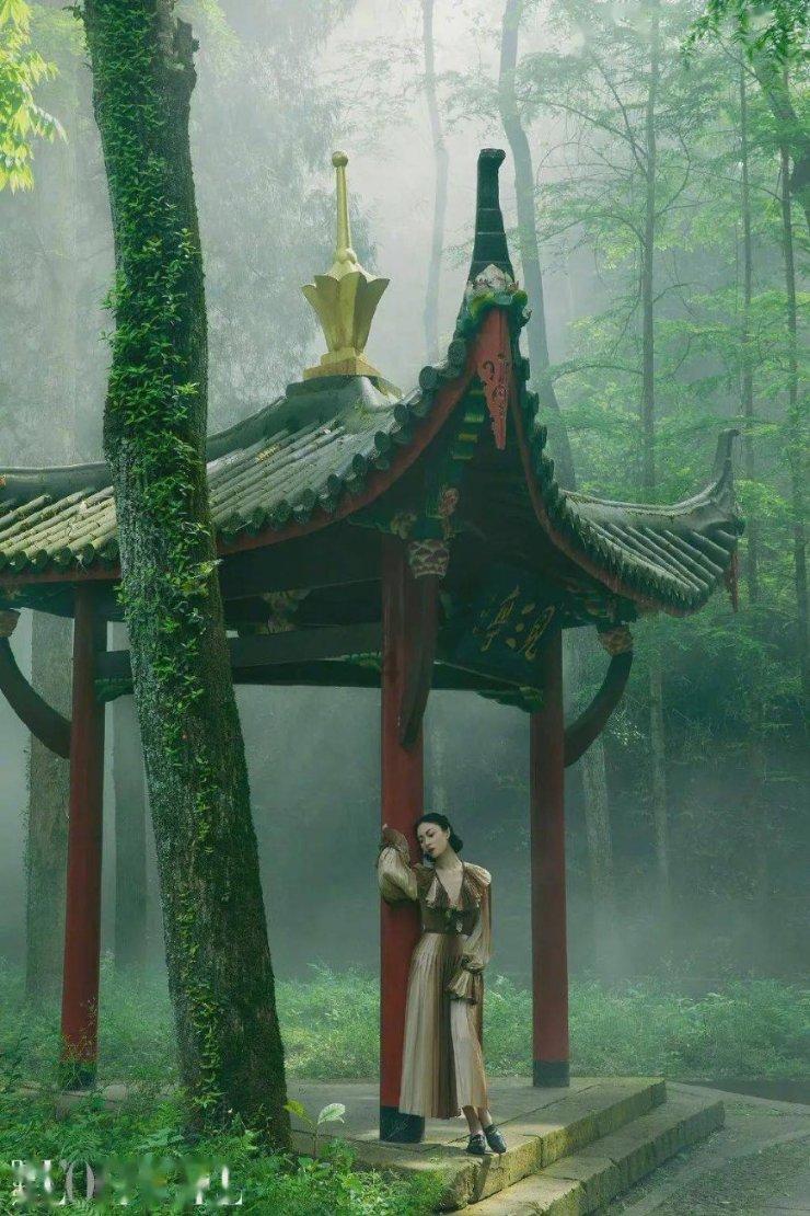 逃离马儿森林