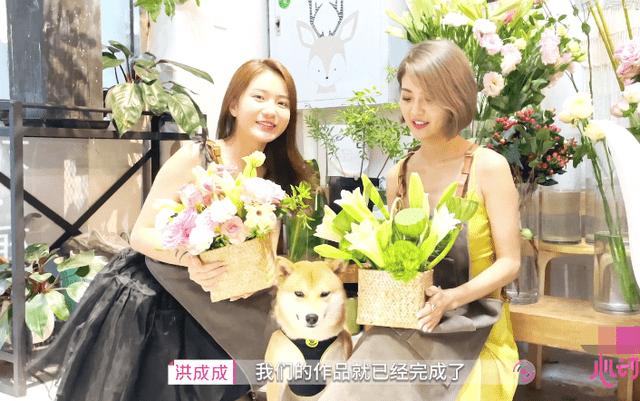 牧场物语希望之光