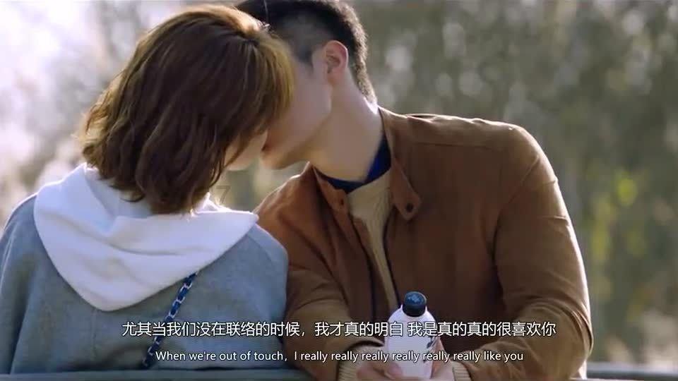 动物帮帮忙保卫家园